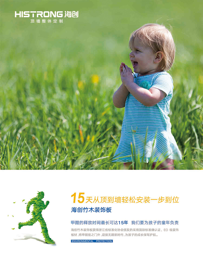 集成墻面g