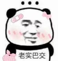 老實巴交.jpg