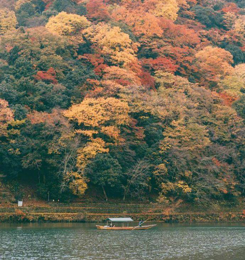 海創(chuàng)集成墻面.jpg