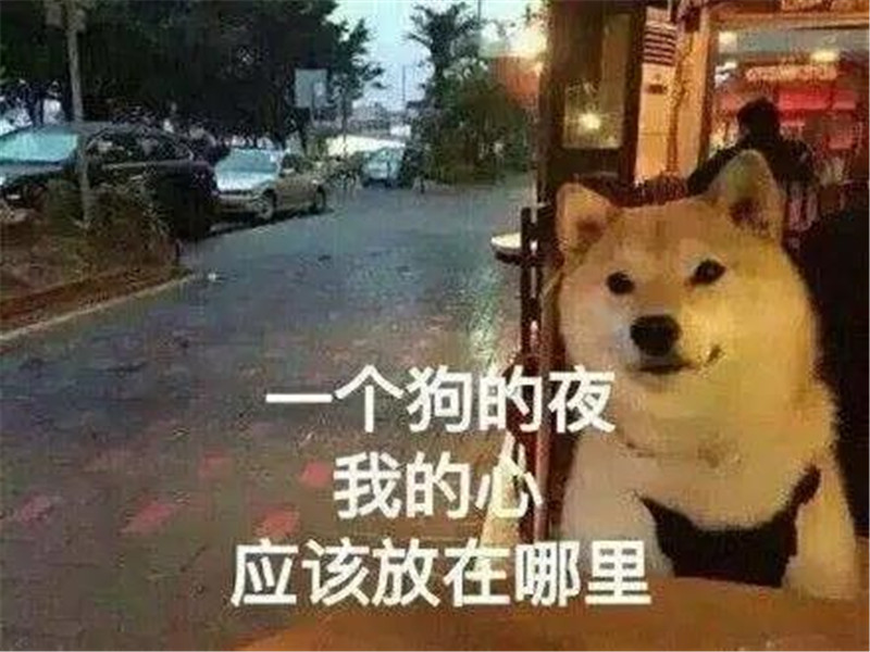 微信圖片_20200824084942.jpg 微信圖片_20200824084942.jpg